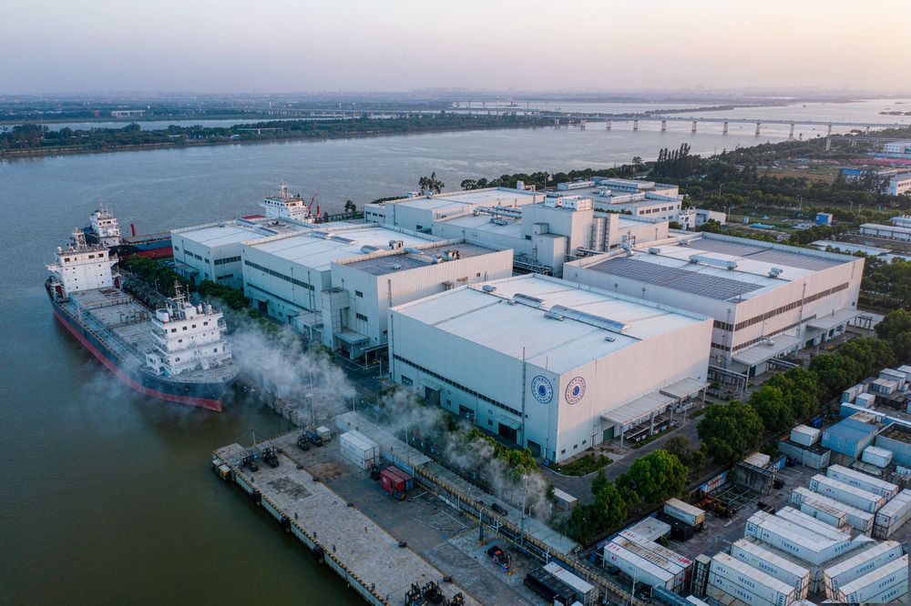 Frozen Pangasius Fillet 2026: Whitefish Supply Squeeze Opens a Strateg